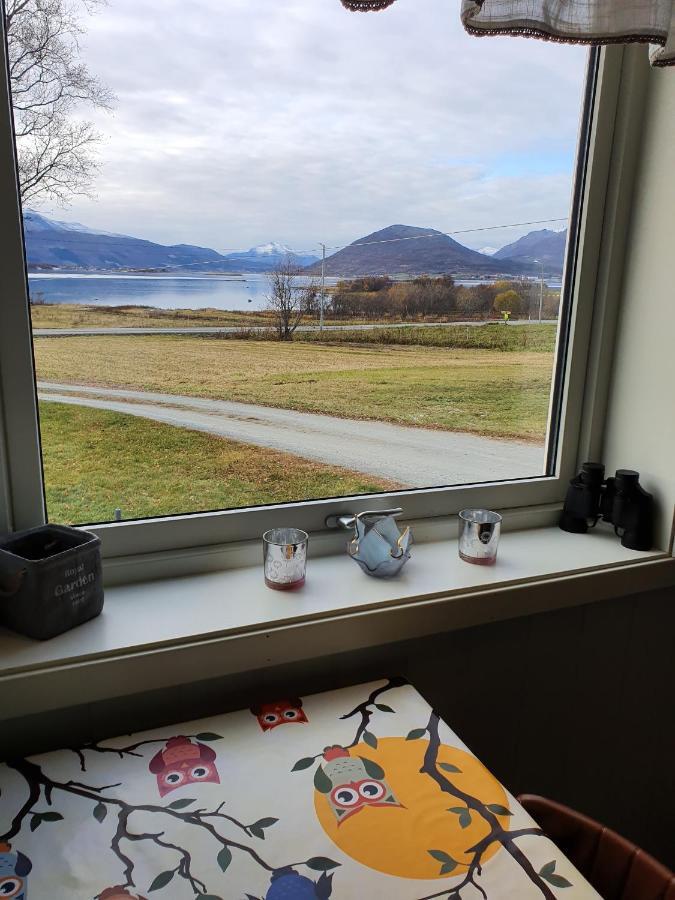 1 Room In The Yellow House, Close To Airport & Lofoten Evenskjer Exteriér fotografie