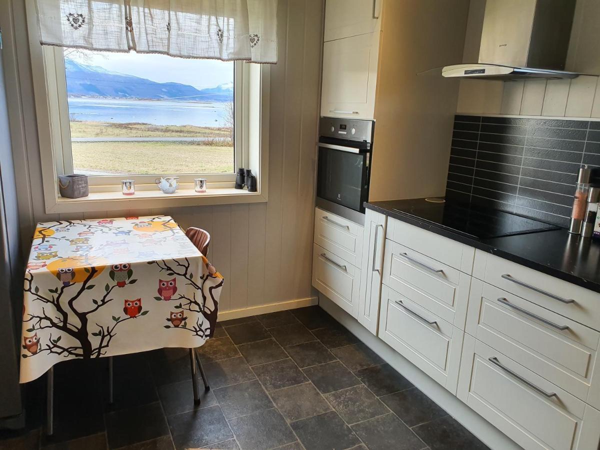 1 Room In The Yellow House, Close To Airport & Lofoten Evenskjer Exteriér fotografie