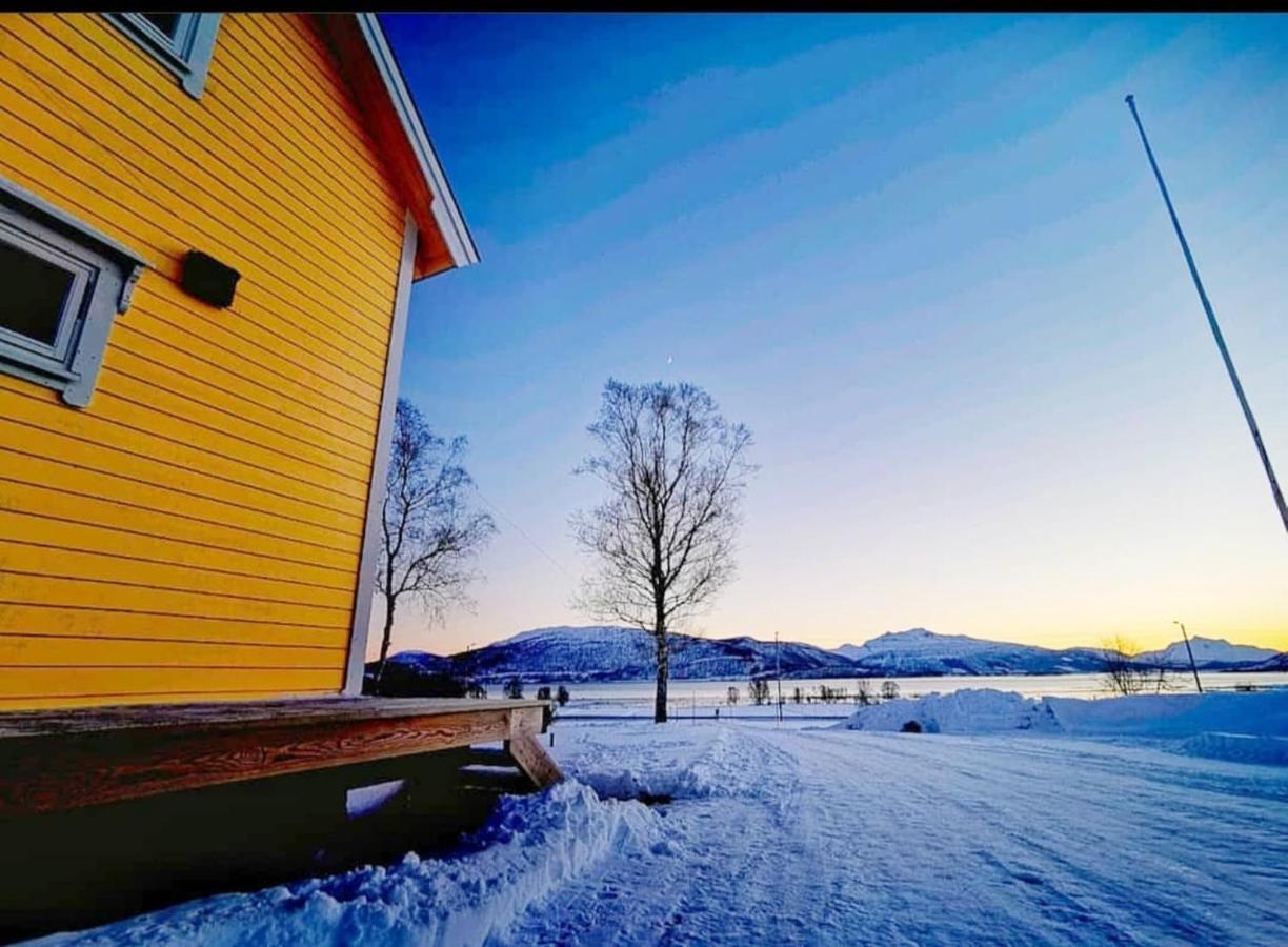 1 Room In The Yellow House, Close To Airport & Lofoten Evenskjer Exteriér fotografie